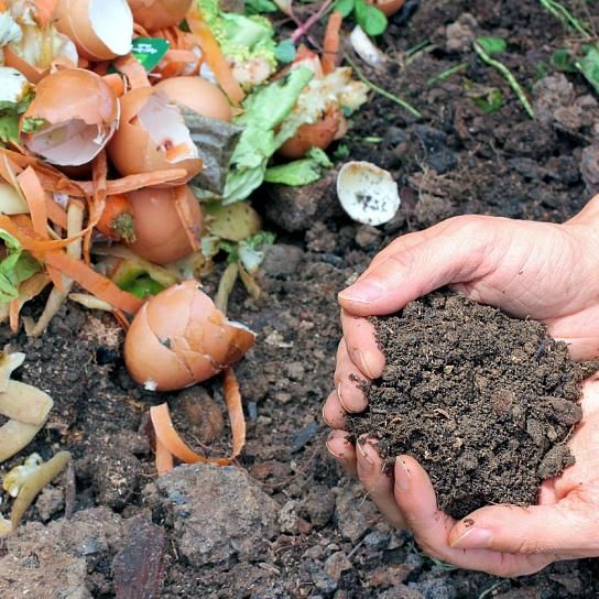 Nous nous engageons pour le développement durable