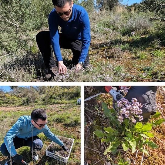 Nous nous engageons pour le développement durable